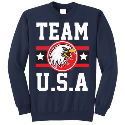 Team U.S.A. Logo Sweatshirt