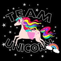 Team Unicorn Wool Snapback Cap