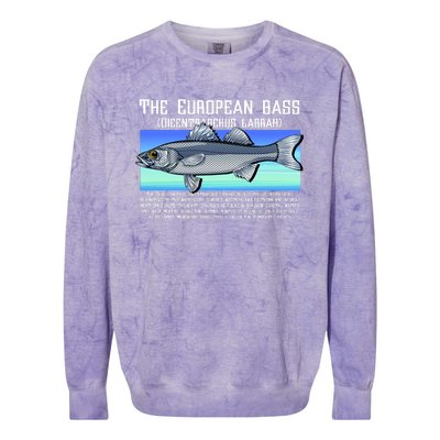 The European Bass Colorblast Crewneck Sweatshirt