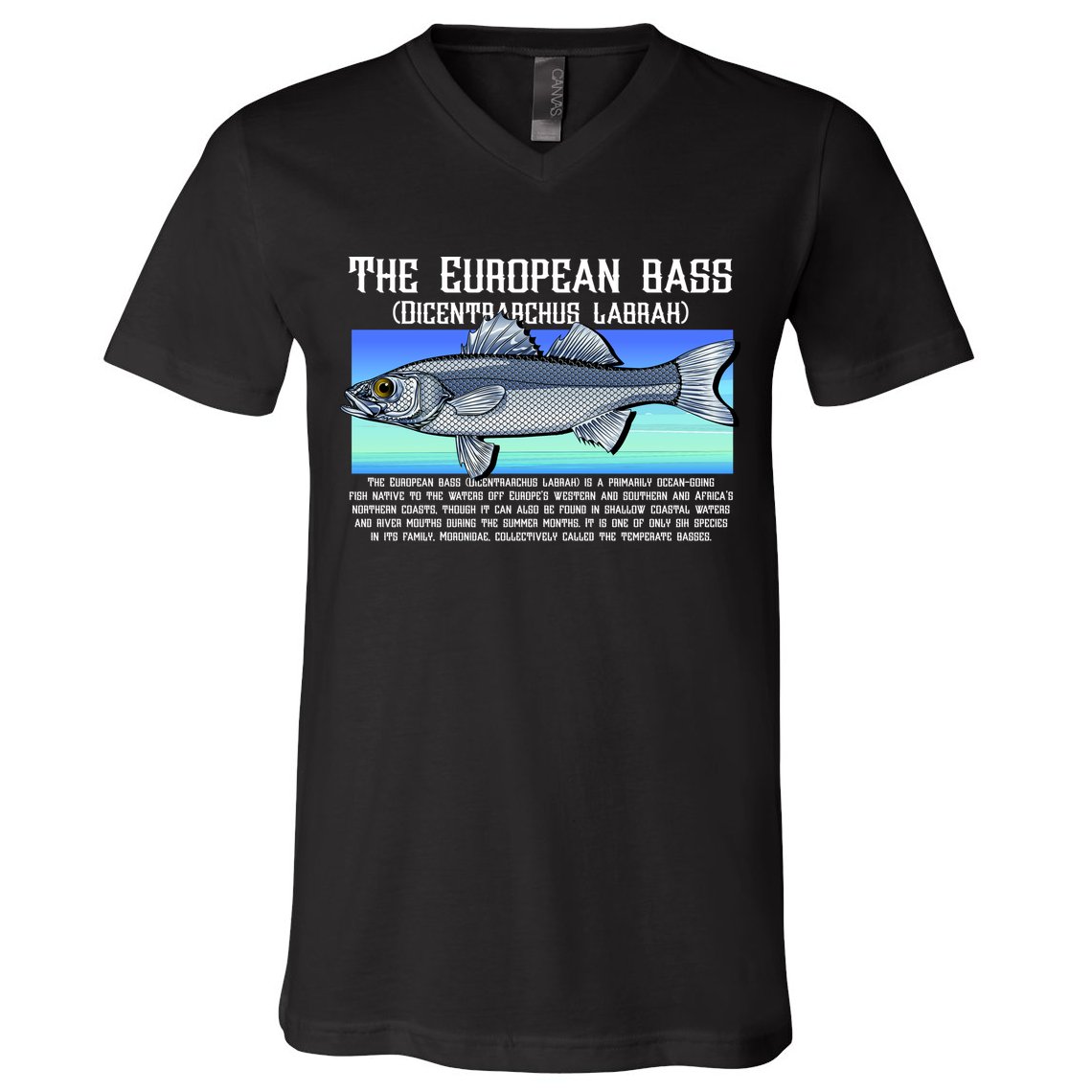 The European Bass V-Neck T-Shirt