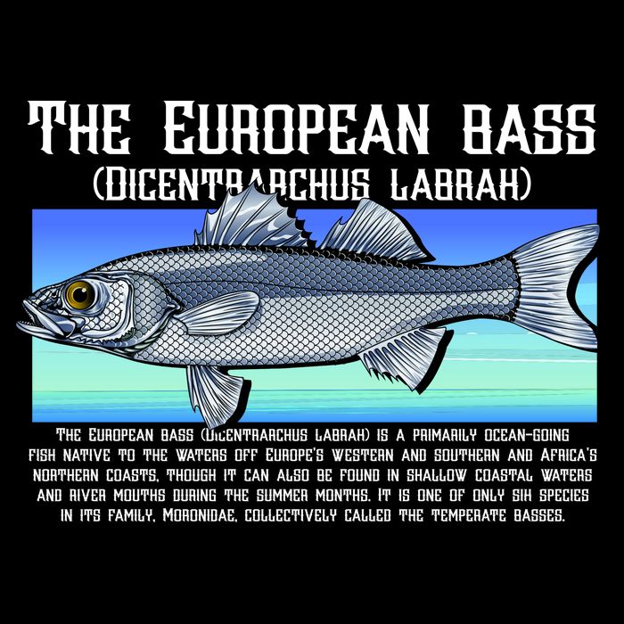 The European Bass Impact Tech Backpack