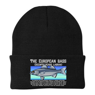 The European Bass Beanie