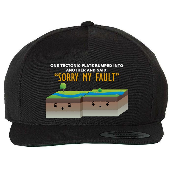 Tectonic Plate Sorry My Fault Wool Snapback Cap