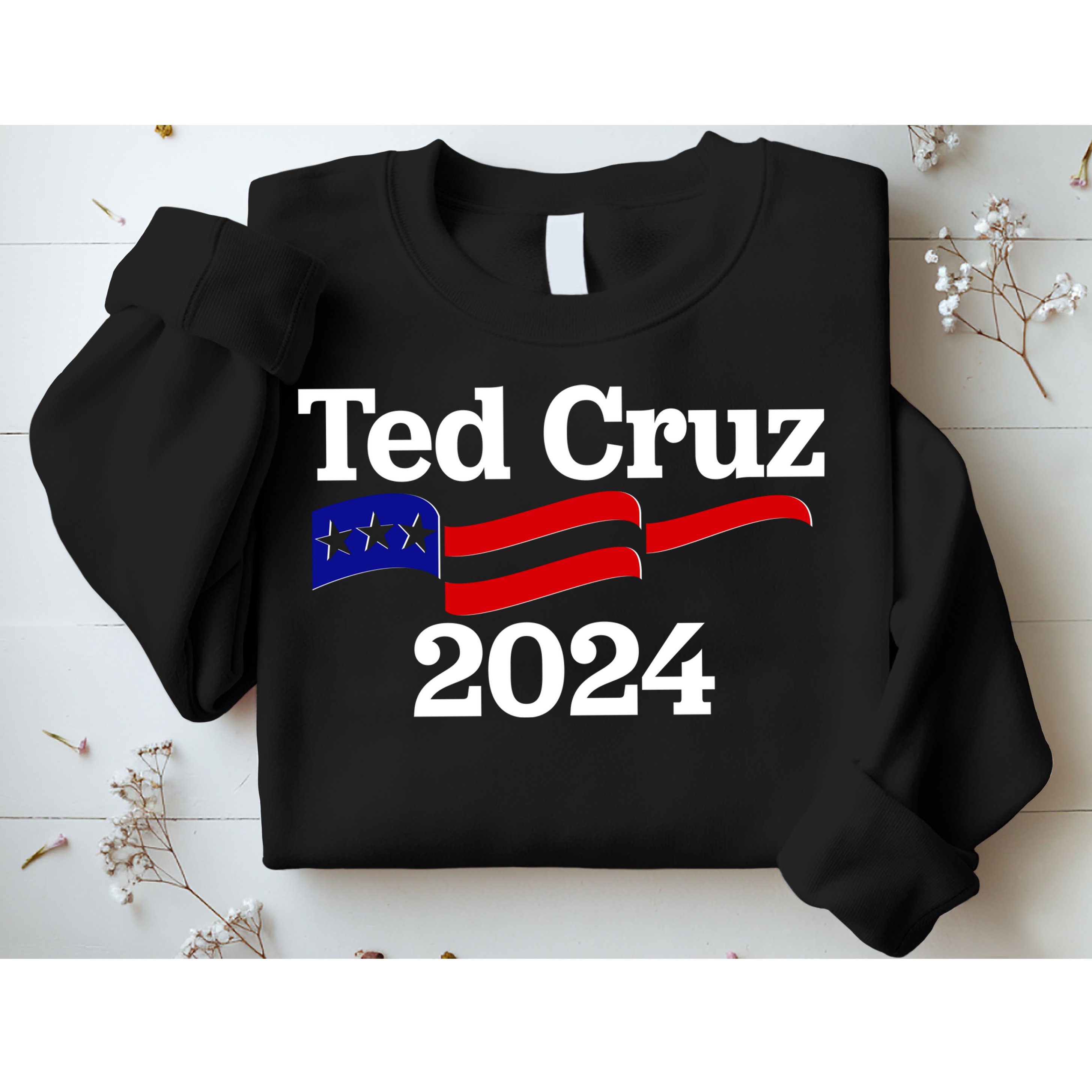 Ted Cruz For President 2024 Election Flag Sweatshirt