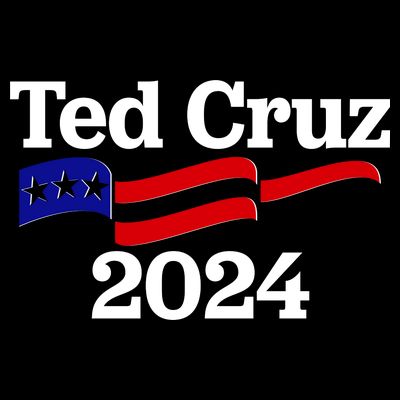 Ted Cruz For President 2024 Election Flag T-Shirt