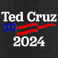 Ted Cruz For President 2024 Election Flag Adult Drive Performance Visor