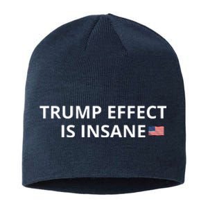 Trump Effect Is Insane Sustainable Beanie