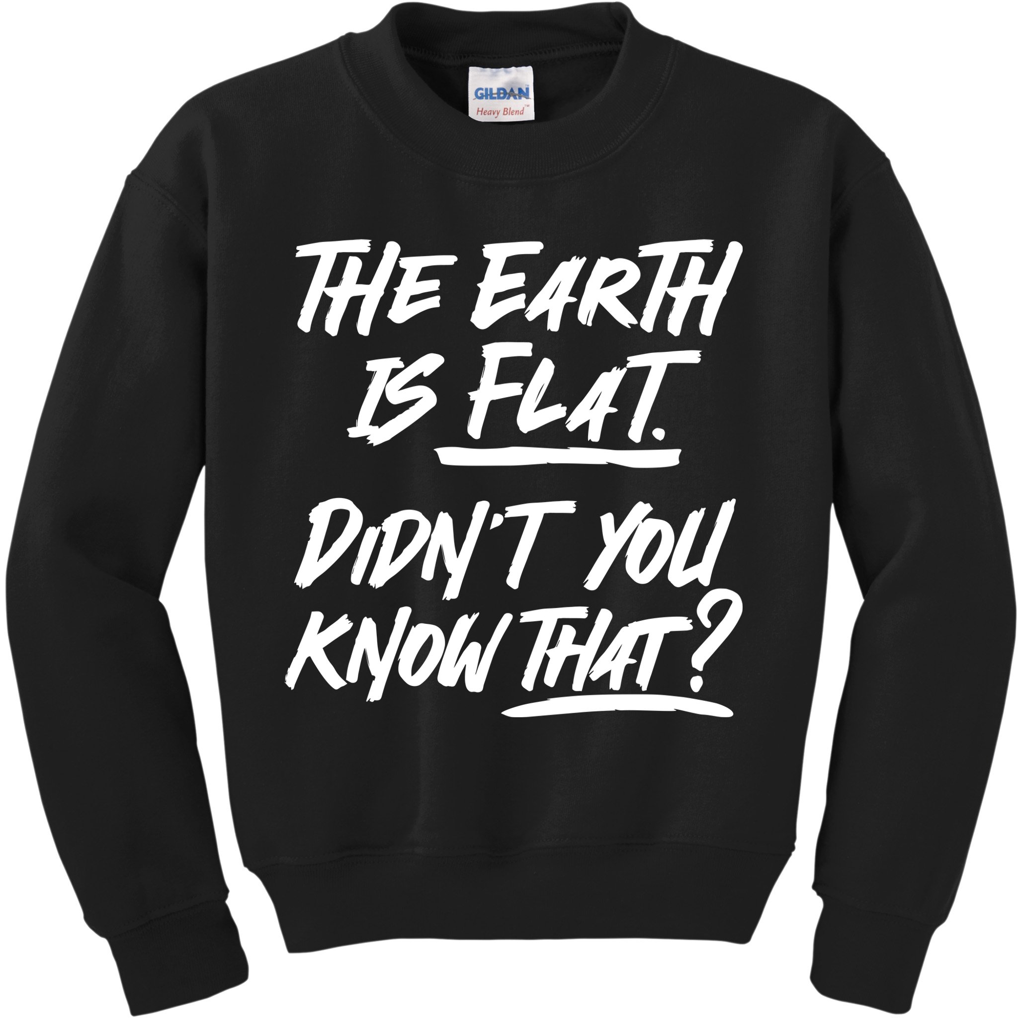 The Earth Is Flat Didnt You Know That Kids Sweatshirt