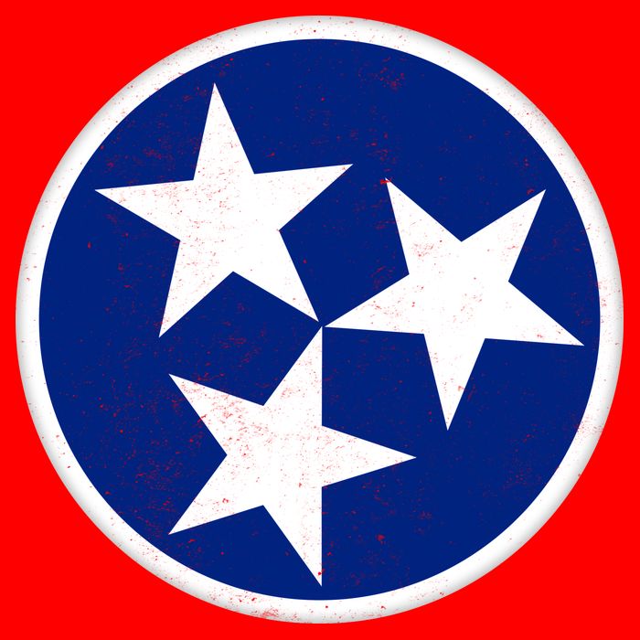 Tennessee Flag Vintage Distressed Poster