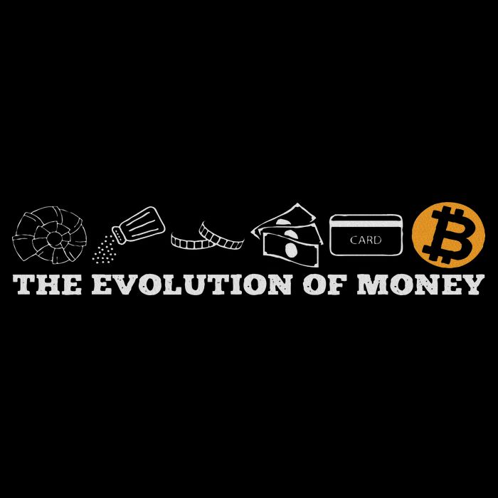 The Evolution Of Money Bitcoin Btc Crypto Cryptocurrency Toddler T-Shirt