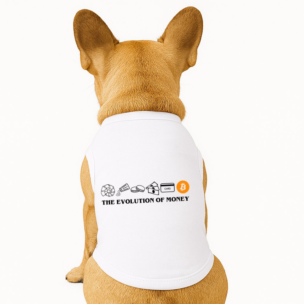 The Evolution Of Money Bitcoin Crypto Doggie Tank