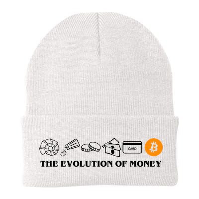 The Evolution Of Money Bitcoin Crypto Beanie