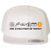 The Evolution Of Money Bitcoin Crypto Wool Snapback Cap