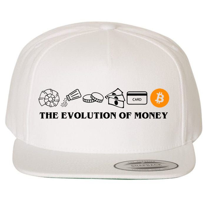 The Evolution Of Money Bitcoin Crypto Wool Snapback Cap