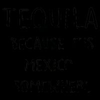 Tequila Because It's Mexico Somewhere 16oz Travel Tumbler
