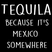 Tequila Because It's Mexico Somewhere Wool Snapback Cap