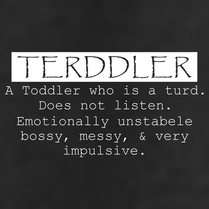Terddler A Toddler Who Is A Turd Can Not Listen Trucker Hat
