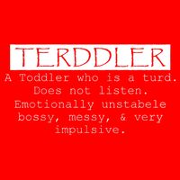 Terddler A Toddler Who Is A Turd Can Not Listen Premium T-Shirt