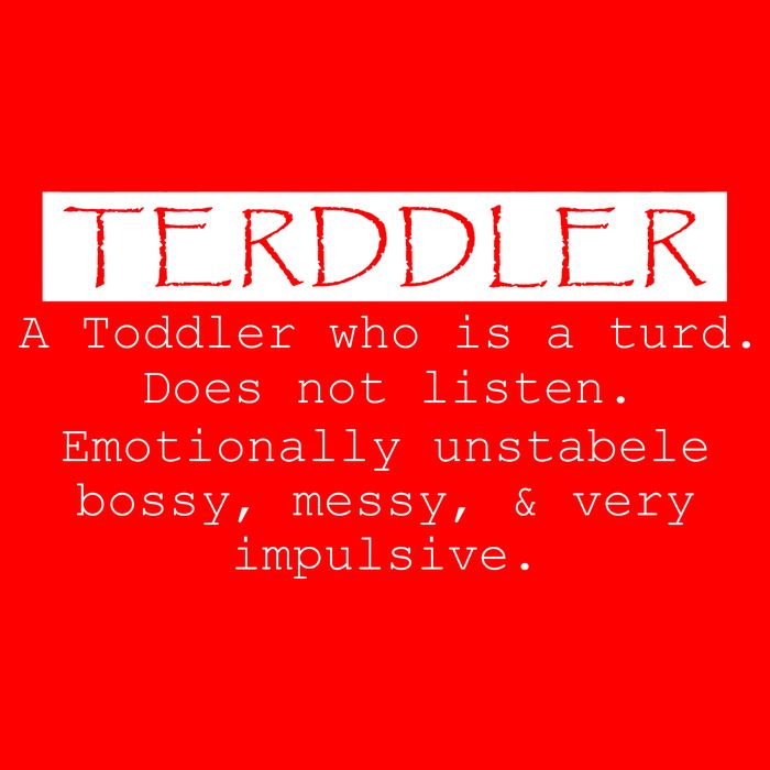 Terddler A Toddler Who Is A Turd Can Not Listen Premium T-Shirt