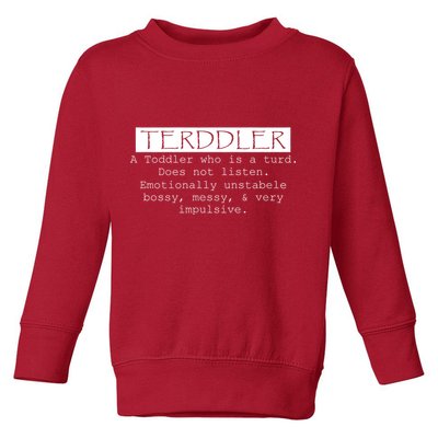 Terddler A Toddler Who Is A Turd Can Not Listen Toddler Sweatshirt