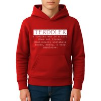 Terddler A Toddler Who Is A Turd Can Not Listen Kids Hoodie