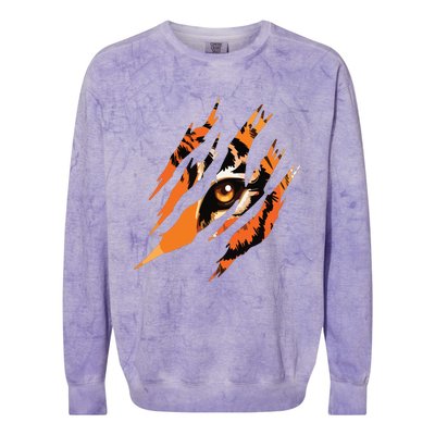 Tiger Eye Safari Zoo Wildlife Animal Zookeeper Costume Gift Colorblast Crewneck Sweatshirt