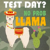 Test Day? No Prob Llama Cactus Legacy Tie Dye Trucker Hat