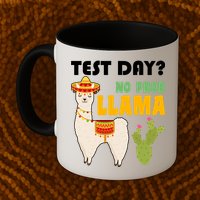 Test Day? No Prob Llama Cactus Mug
