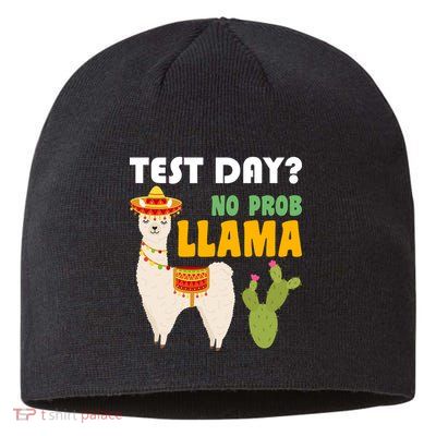 Test Day? No Prob Llama Cactus Sustainable Beanie