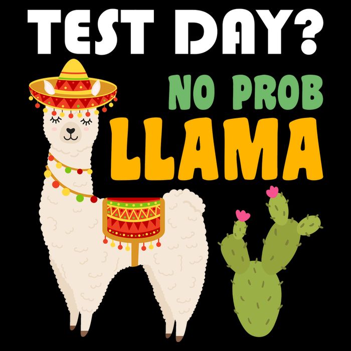 Test Day? No Prob Llama Cactus 16 in Basic Backpack