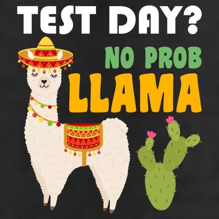 Test Day? No Prob Llama Cactus Trucker Hat