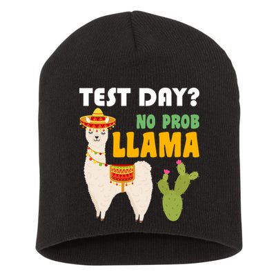 Test Day? No Prob Llama Cactus Short Acrylic Beanie