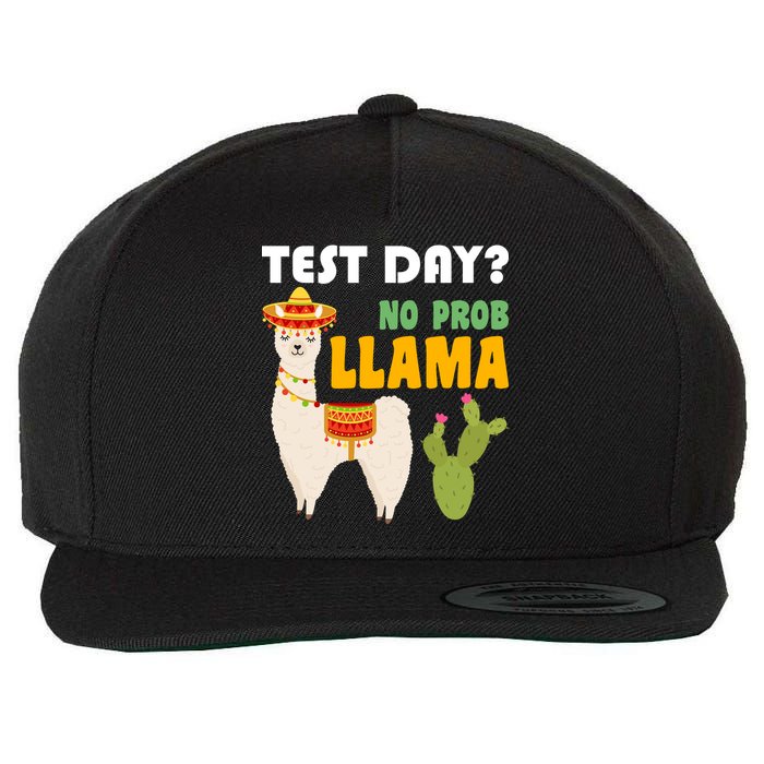 Test Day? No Prob Llama Cactus Wool Snapback Cap