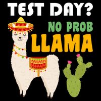 Test Day? No Prob Llama Cactus Wool Snapback Cap