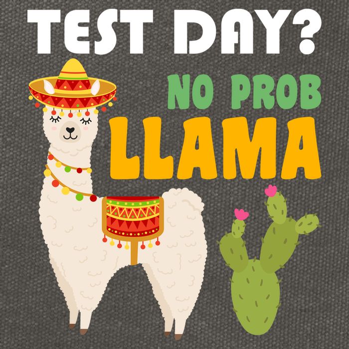 Test Day? No Prob Llama Cactus Cotton Canvas Backpack