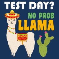 Test Day? No Prob Llama Cactus Infant Baby Jersey Bodysuit