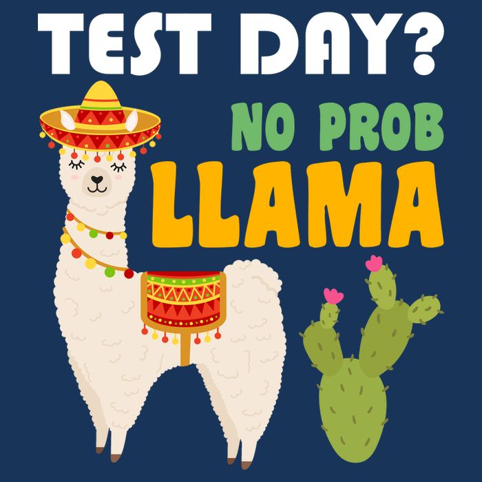 Test Day? No Prob Llama Cactus Infant Baby Jersey Bodysuit