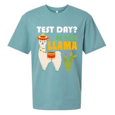 Test Day? No Prob Llama Cactus Sueded Cloud Jersey T-Shirt