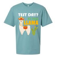 Test Day? No Prob Llama Cactus Sueded Cloud Jersey T-Shirt