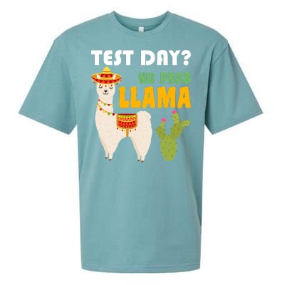 Test Day? No Prob Llama Cactus Sueded Cloud Jersey T-Shirt