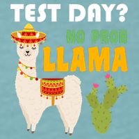 Test Day? No Prob Llama Cactus Sueded Cloud Jersey T-Shirt