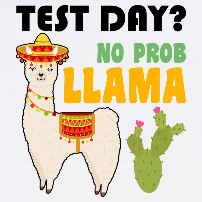 Test Day? No Prob Llama Cactus Garment-Dyed Sweatshirt