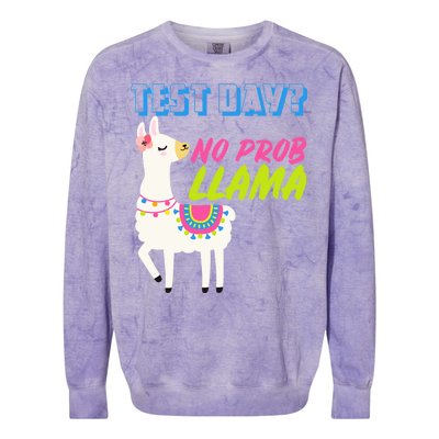 Test Day? No Probllama  Colorblast Crewneck Sweatshirt