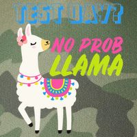 Test Day? No Probllama  Legacy Tie Dye Trucker Hat