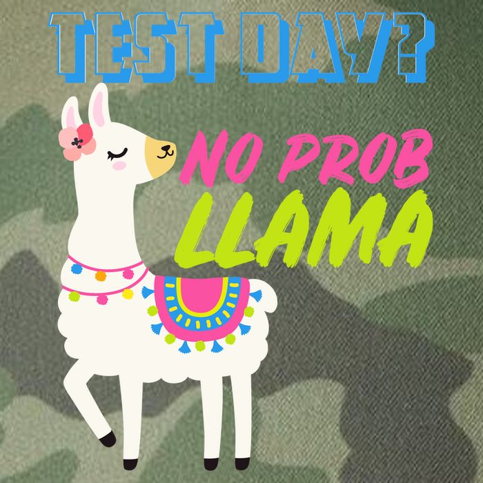 Test Day? No Probllama  Legacy Tie Dye Trucker Hat