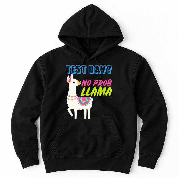Test Day? No Probllama  Hoodie