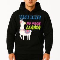Test Day? No Probllama  Hoodie