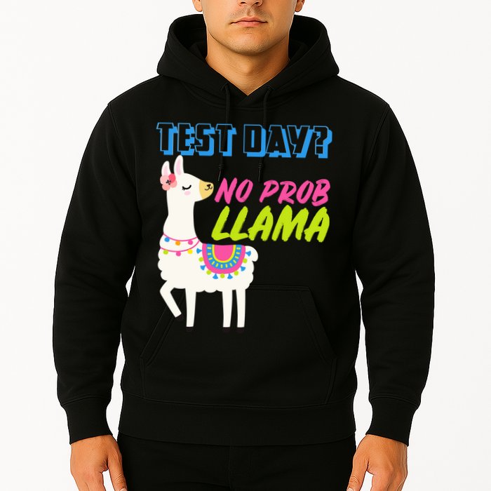 Test Day? No Probllama  Hoodie
