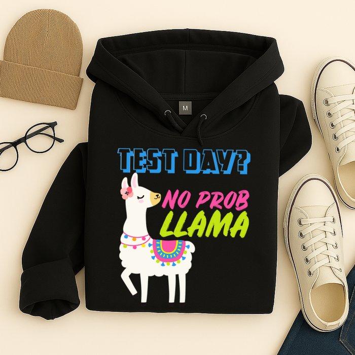 Test Day? No Probllama  Hoodie