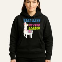 Test Day? No Probllama  Hoodie